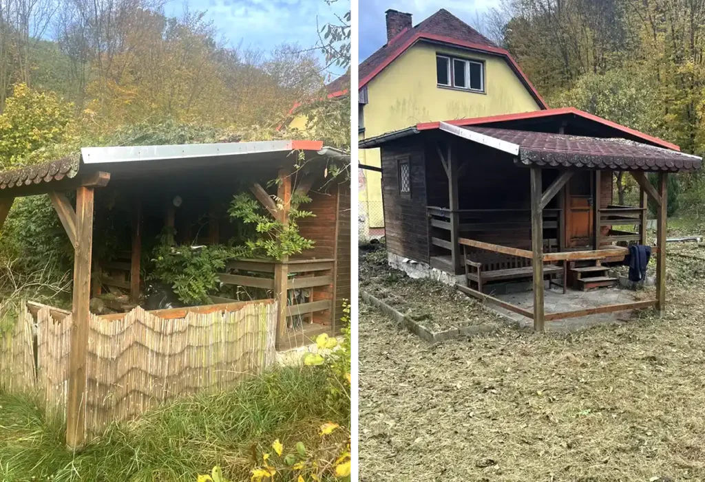 Kdy se vyplatí pozemek vyčistit – Pokosíme s.r.o.
